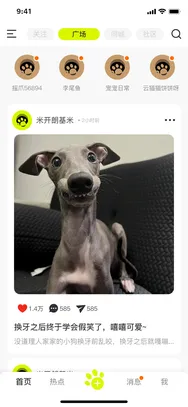 摇爪宠物社区广场